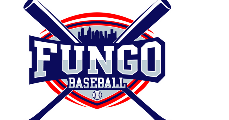 FUNGO Baseball